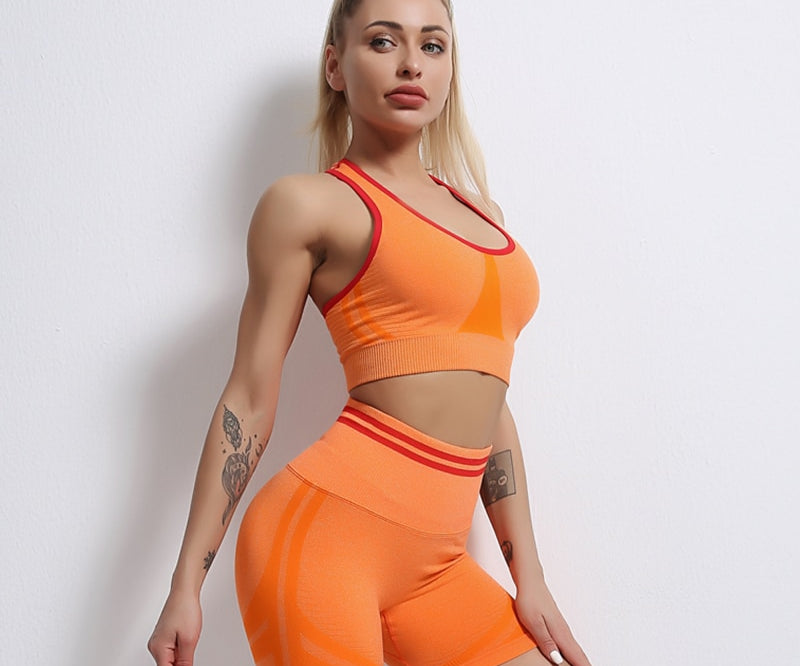 Seamless Two Piece Yoga Set with Matching Bra and Bottoms