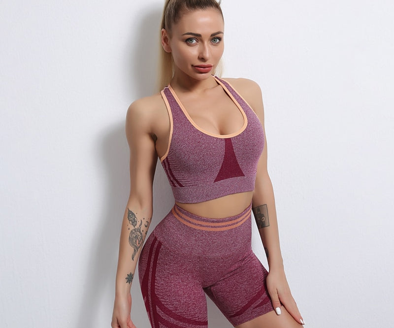 Seamless Two Piece Yoga Set with Matching Bra and Bottoms