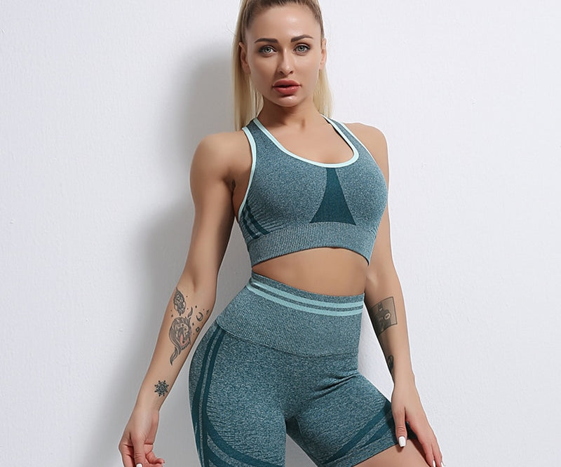 Seamless Two Piece Yoga Set with Matching Bra and Bottoms